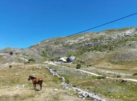 Miris Katuna - Sinjajevina