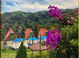 Ecohotel Java