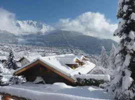 Chalet Lion d'Or