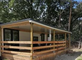 Gezellig huisje aan de bosrand in Rijen