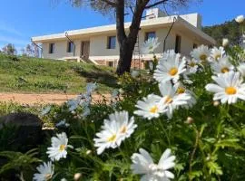 Villa Beatrice