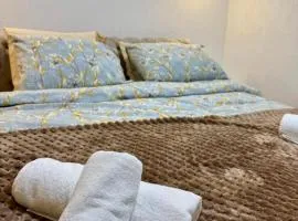 A&A Durmitor Apartments