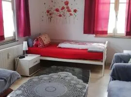 Apartment White - Haus Lindheim