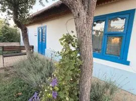 The House of Flowers