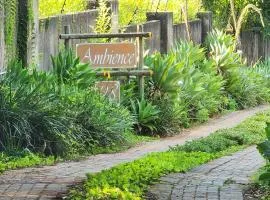 Ambience Inn White River