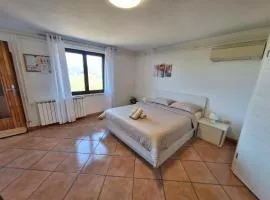 Apartment Burja with Olive Grove & Salt Pans View