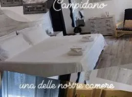 Il Ginepro del Campidano