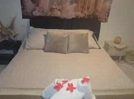 Appartement bella vista marseillan