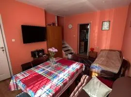 Pernik Center 2-Bedroom House with Yard & Parking