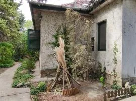 Tóparti Kertes Vendégház
