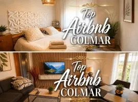 Coup de cœur à Colmar Appartement en plein centre