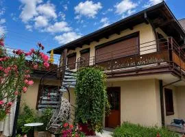 Duplex rénové avec terrasse privative à 10 mm de Colmar et Eguisheim, à 2 mm du grand axe autoroutier Strasbourg Mulhouse