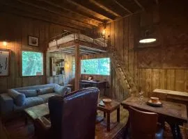 The Cabin in Piggy Wood