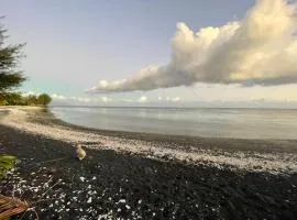 Fare Taitua