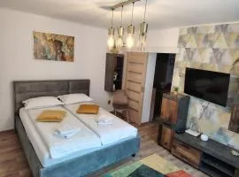 Bucur Residence Rupea - apartament modern cu 2 camere pentru 4 persoane