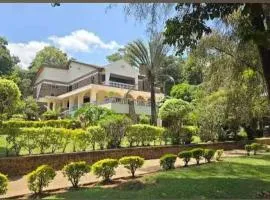Ilemi Gardens