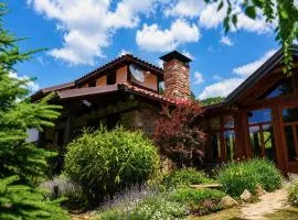 Traditional Cottage - Vila Samovila
