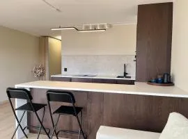 Apartment in the center of Moss