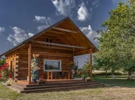 Dom pod Dębami - drewniany domek z basenem, kominkiem i ogrodem