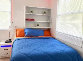 The orlando oasis