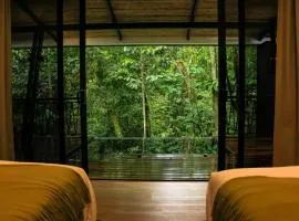 Nuakú Jungle