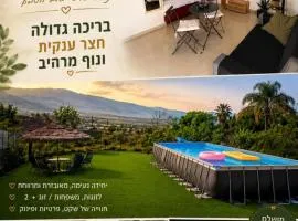 לרניקה - יחידות אירוח