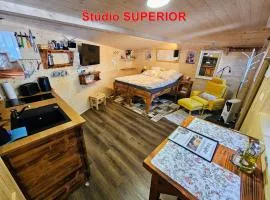 MK Apartment Karpaty
