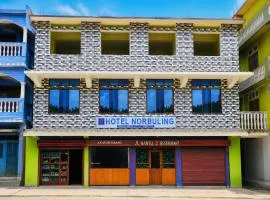 Hotel Norbuling