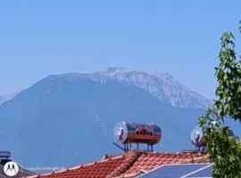 Catalina studios 2