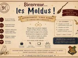 CHEZ HARRY POTTER- Séjour Magique au Cœur de Luchon