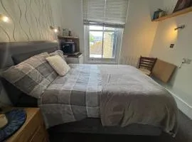 Modern Ensuite 15 minutes to Central London