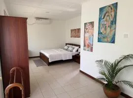 Top Floor Suite with Kitchen and Terrace