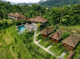 Cassowary Villas Sidemen by AGATA