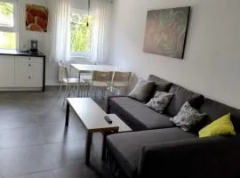 Villa Antonina Apartamenty z aneksem