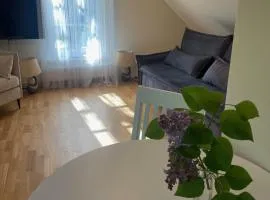The Garden Loft Melluzi