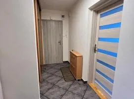 Strzelce