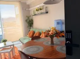 Alto Rancagua- Departamento Ejecutivo 2D1B