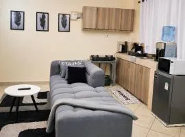 Emerald apartment