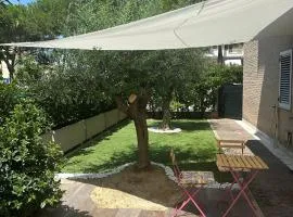 Mare e Tulipani