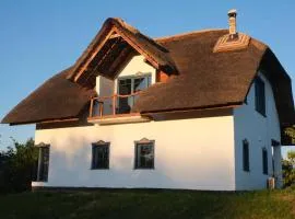 Traditional Ukrainian Thatch House with Modern Luxury