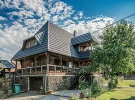 Pensiunea Casa Traditionala Borlean
