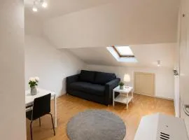 Simple studio near Kirchberg