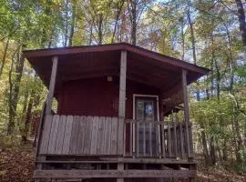 Thunder Ridge Cabins B&B - Wolf Den