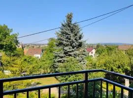 Apartament 10 A - OpolskieNoclegi
