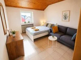 Good connection city apartment