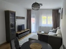 Vozd Apartment