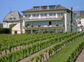 RUTHMANN-Rheinblick GARNI, hotel v destinaci Oestrich-Winkel