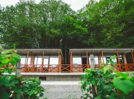 Jvarisa cottages