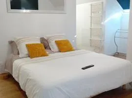 Chambre, salle de bain, toilette, salon privatif