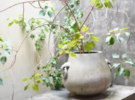 Baranada Ayurvedic Wellness Retreat Center